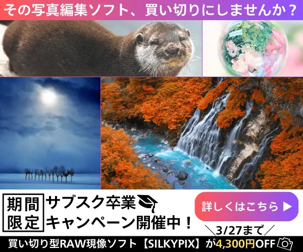 初めての写真編集にも最適なRAW現像ソフト【SILKYPIX Developer Studio Pro12】